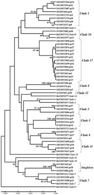 A Predominance of Clade 17 Candida albicans Isolated From Hemocultures in a Tertiary Care Hospital in Thailand